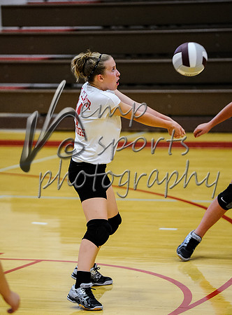 _DSC0864