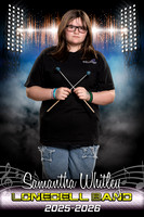 4786_24x36_prime_time_band