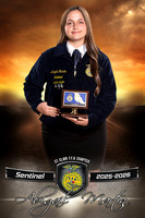 5166_FFA_32x48_banner_Lexi
