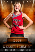 5511_spartans_24x36_banner