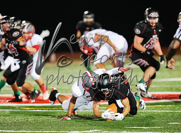 DSC_2893