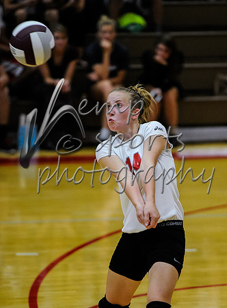 _DSC0981