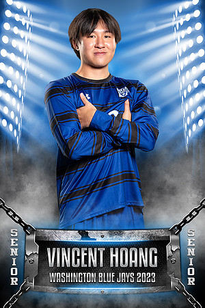 Vincent_chained_32x48_banner