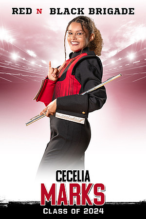 cecelia_30x45_banner