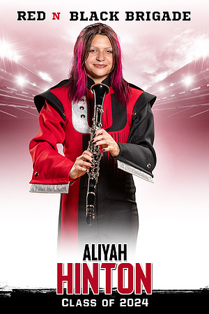 Aliyah_30x45_banner