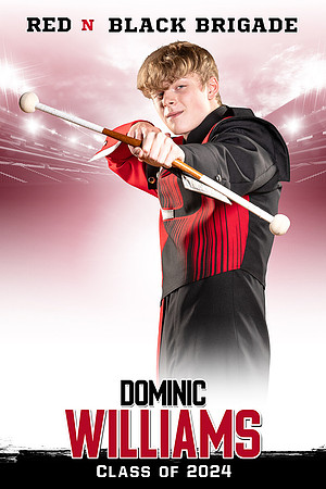 Dominic_30x45_banner