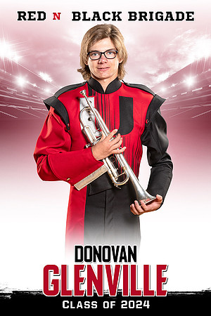 Donovan_30x45_banner
