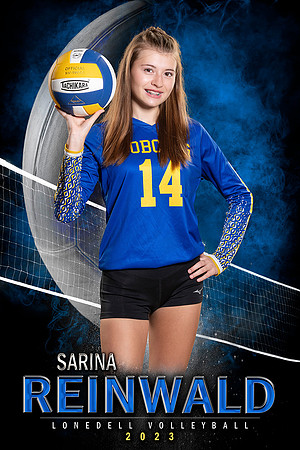 Sarina_MVP Main_24x36