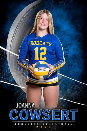 JoAnna_MVP Main_24x36