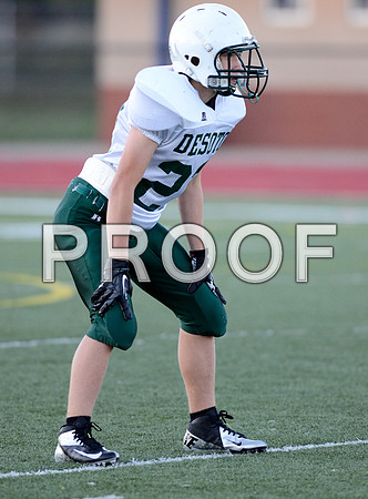 Desoto @ Hillsboro high school junior varsity football