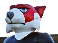 St. Clair @ Union high school Varsity football